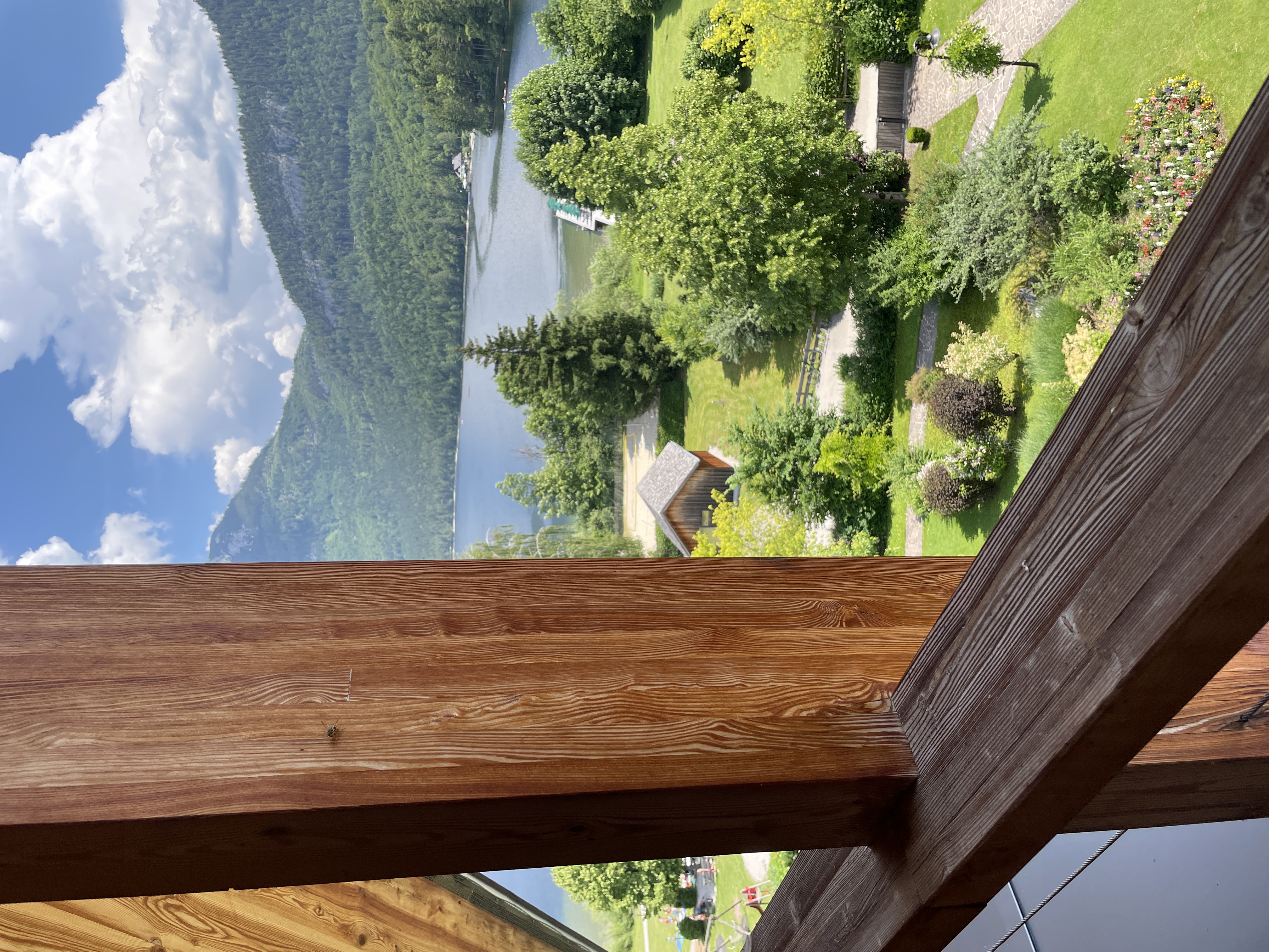 The View from my Balcony